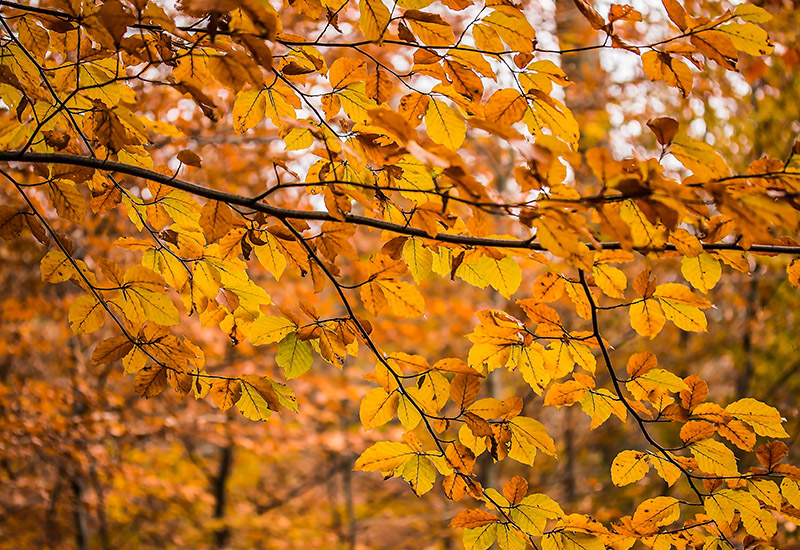 Kontakta Evema Kontakta Evema
