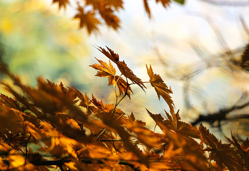 Kontakta Evema Kontakta Evema